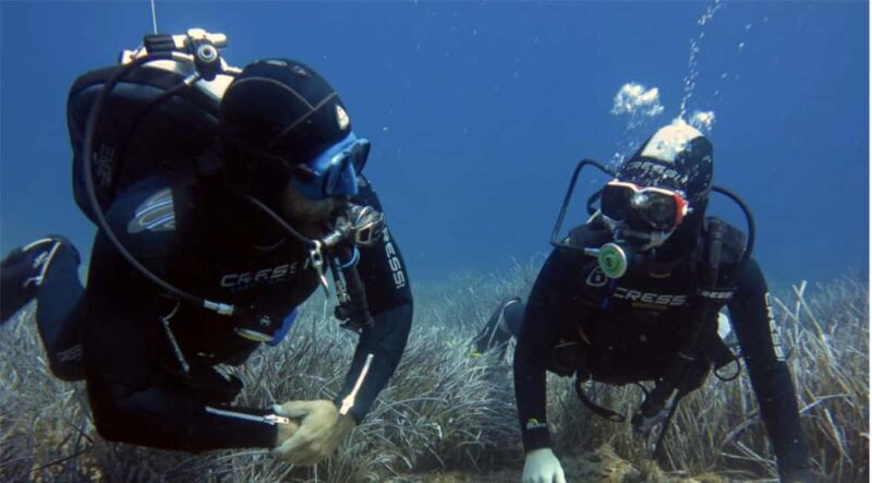 Paros: Scuba Diving Experience - Final Thoughts: Is It Worth It?