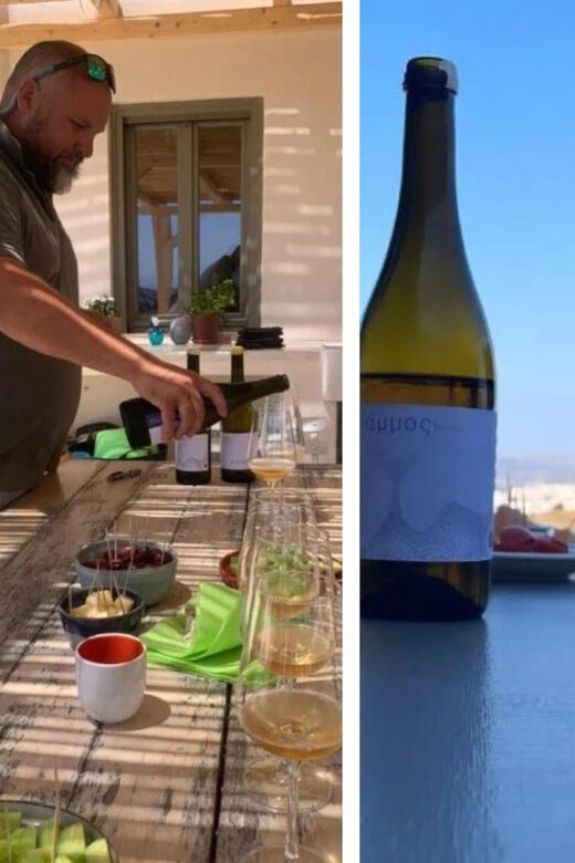 Paros: Wine tasting at Local Winery - Key Points