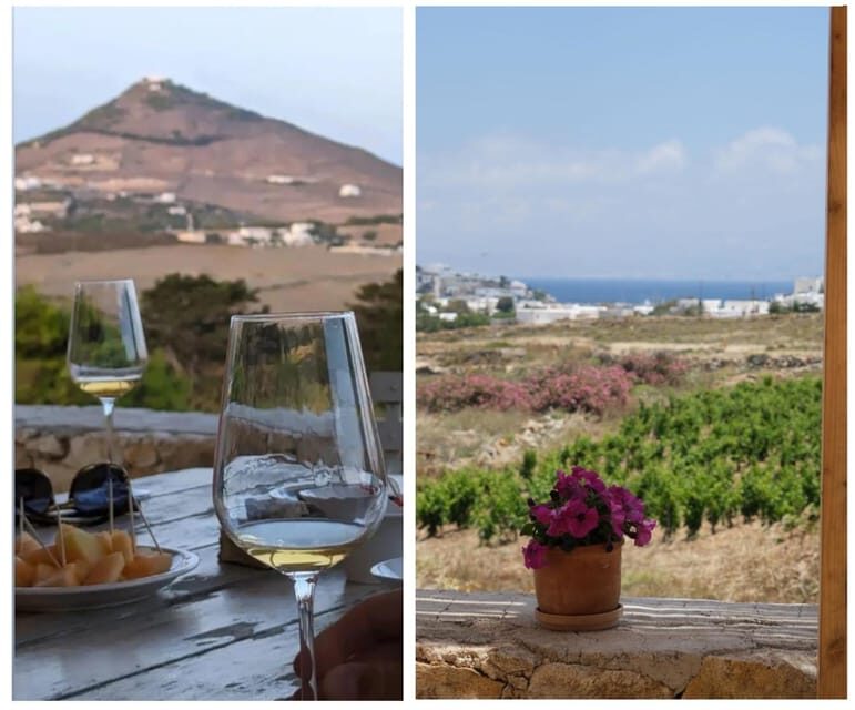 Paros: Wine tasting at Local Winery - Final Thoughts: Is This Tour Right for You?