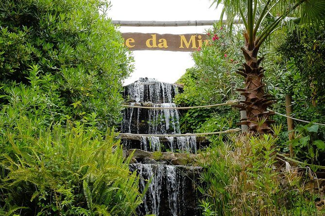 Parque da Mina Entrance Ticket - A Deep Dive into Parque da Mina: What You Can Expect