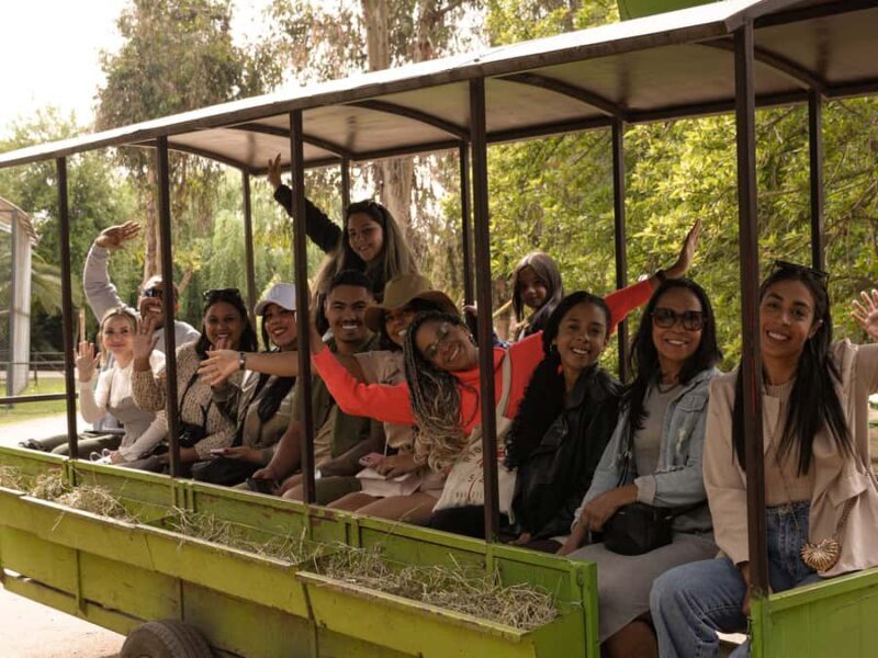 Parque Safari: Wild Adventure Up Close with Amazing Animals - Key Points