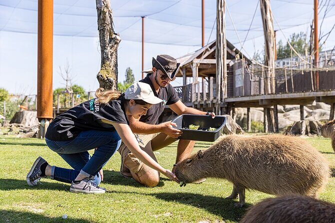 Parrot World Immersive Wildlife Park Entry Ticket next to Paris - Key Points