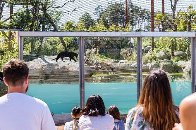 Parrot World Immersive Wildlife Park Entry Ticket next to Paris - Who Is This Tour Best For?