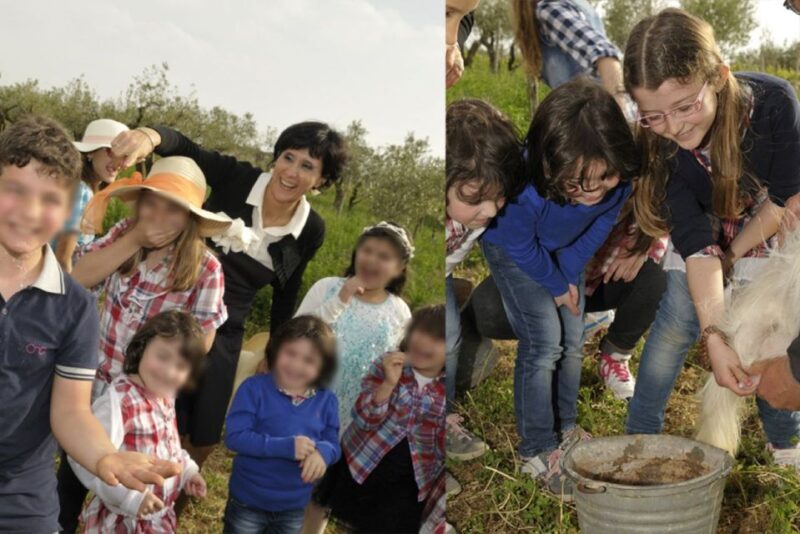Partinico: Farm's Animals and Aromatic Garden Experience - Key Points