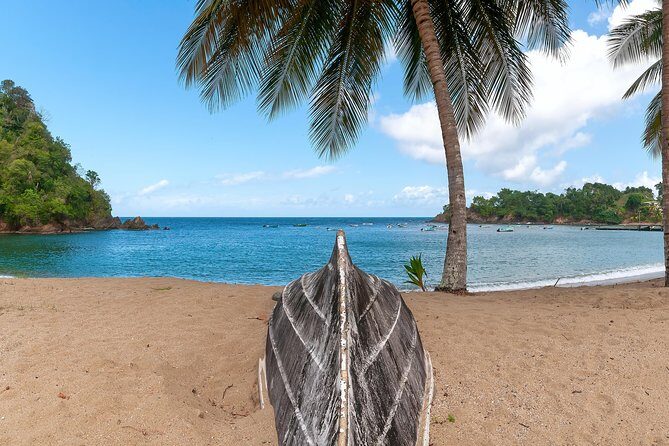 Partlatuvier Bay Day Trip with Lunch - Deep Dive into the Details