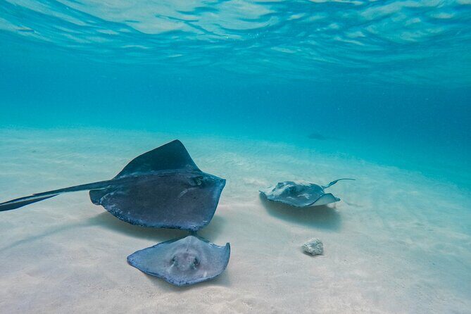 Party Boat Cruise - FAQ