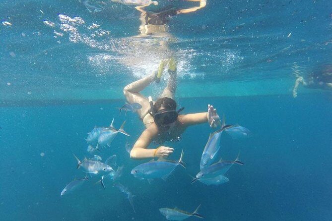 Party boat in Catamaran with Open Bar Only Adults + Snorkeling - The Atmosphere Onboard