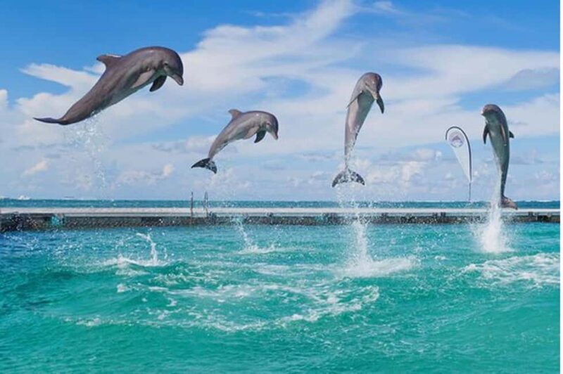 Party Boat in Punta Cana with Drinks Included - A Complete Look at the Party Boat Experience