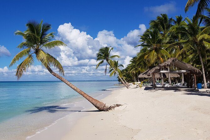Party Boat Saona and Natural Pool from Bayahibe - In-Depth Look at the Experience