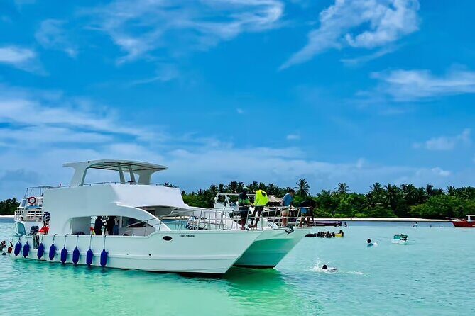 Party Boat Tour in Punta Cana - Key Points