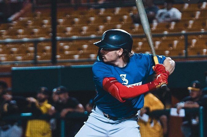 Party Bus and Baseball Game Puerto Rico - Final Thoughts