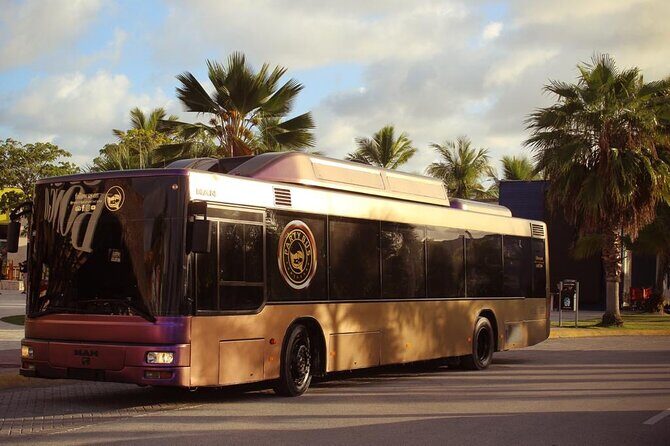 Party Bus Rental - What to Expect from the Punta Cana Party Bus Experience