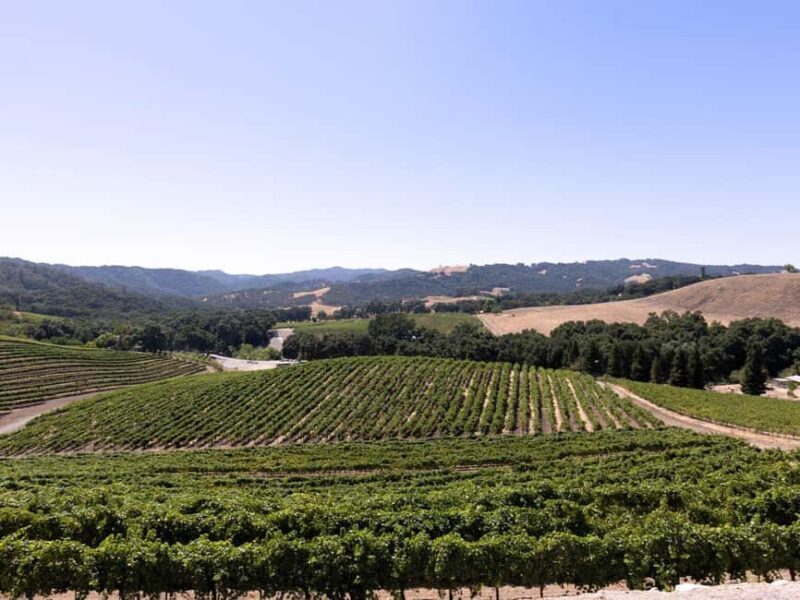 Paso Robles: 3-Winery Tour with Tastings and Lunch - A Closer Look at the Paso Robles 3-Winery Tour