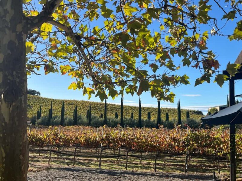 Paso Robles: Private Wine Tour, guided by a Winemaker - Who Will Love This Tour?