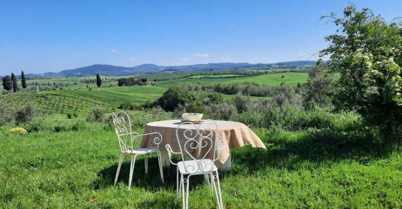 Passeggiando nell'uliveto: come nasce l'olio extrav d'oliva? - Who is this tour best suited for?
