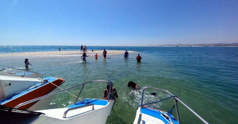 Passeio Barco na Ria Formosa 5H - Passeio Barco na Ria Formosa 5H: A Practical Dive into Nature’s Playground