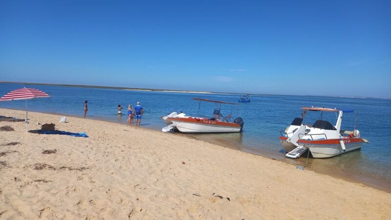 Passeio Barco na Ria Formosa 5H - Who Will Love This Tour?
