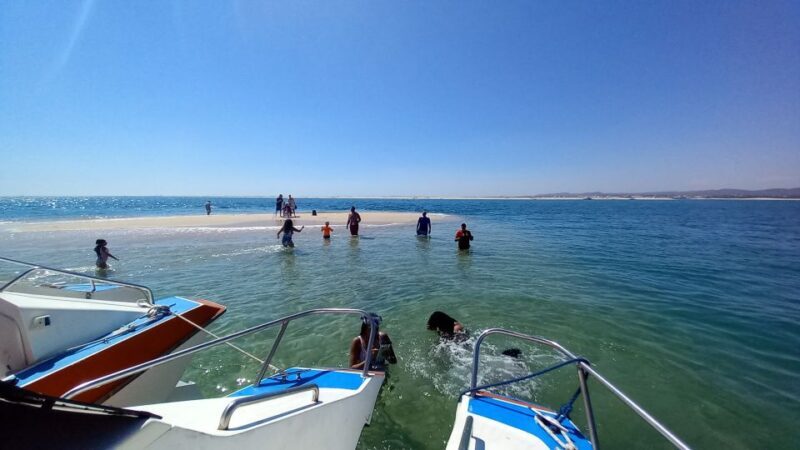 Passeio de barco na Ria Formosa 3H - Who Will Love This Tour?
