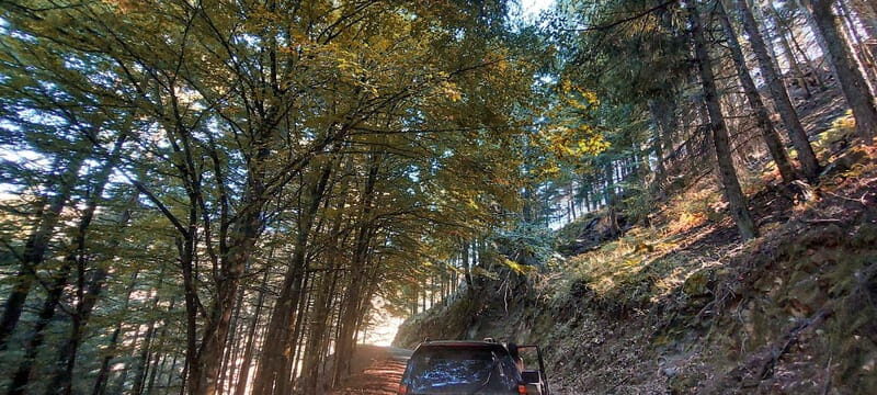 Passeio Guiado em 4x4 para conhecer a Serra da Estrela - Exploring Serra da Estrela: An Authentic Mountain Adventure