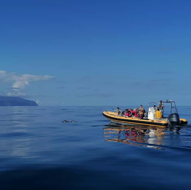 Passeios Turísticos: Trip to Corvo by Boat - A Detailed Look at the Trip to Corvo by Boat in the Azores