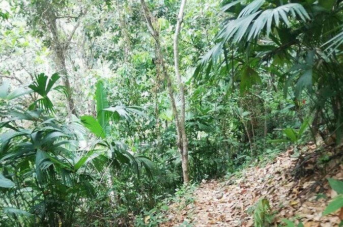 Passion Fruit and El Saltillo Waterfall Tour - Who Should Take This Tour?