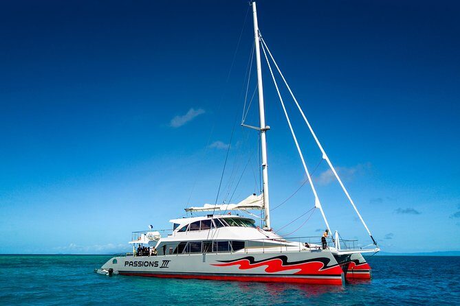 Passions of Paradise Great Barrier Reef Cruise by Catamaran - Final Thoughts: Who Should Book This Tour?