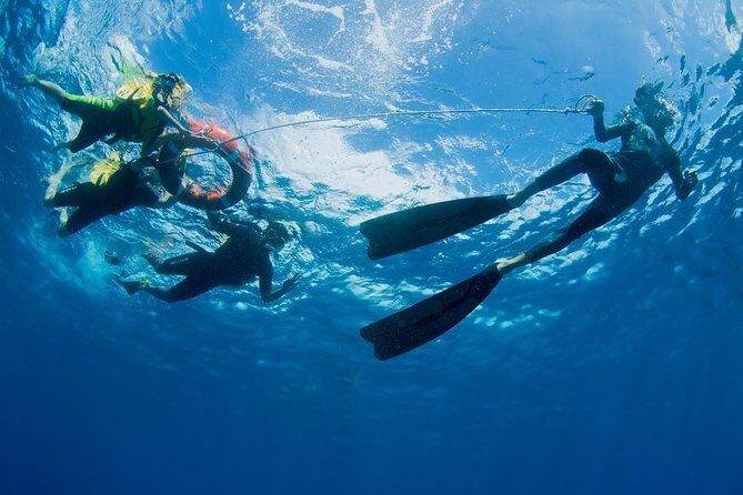 Passions of Paradise Great Barrier Reef Cruise by Catamaran - Frequently Asked Questions