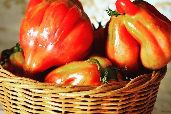 Pasta and Pizza cooking class in Cortona - Who Would Love This Experience?
