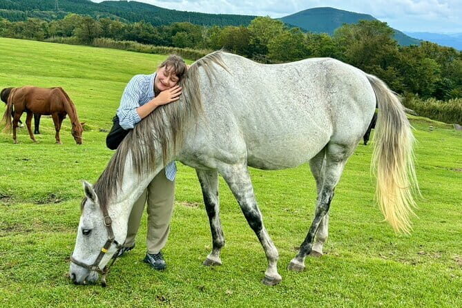Pasture Hike with Horse Whisperer at Horse Trust in Kagoshima - Key Points
