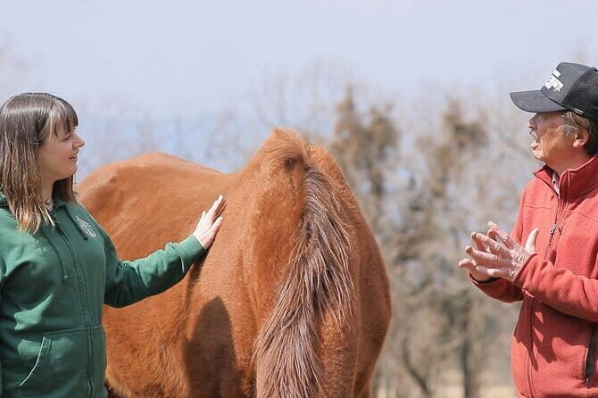 Pasture Hike with Horse Whisperer at Horse Trust in Kagoshima - A Detailed Look at the Pasture Hike with Horse Whisperer Tour
