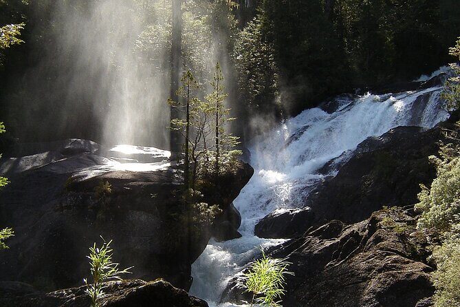 Patagonian Exploration: Blest Port and Los Cántaros Waterfall - Who Should Consider This Tour?
