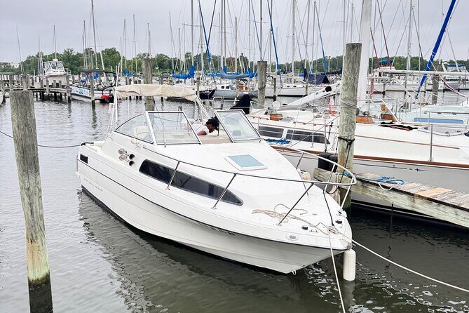 Patapsco River Boat Cruise Scenic 2 Hours Adventure - Exploring the Patapsco River Cruise: A Detailed Look