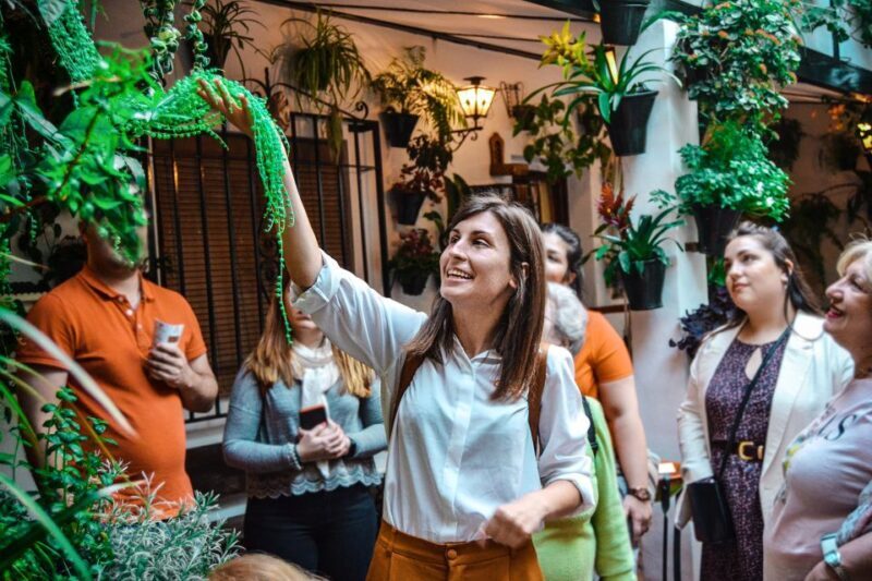 Patios of Cordoba Walking Tour - Introduction: Discovering Cordoba’s Colorful Patios