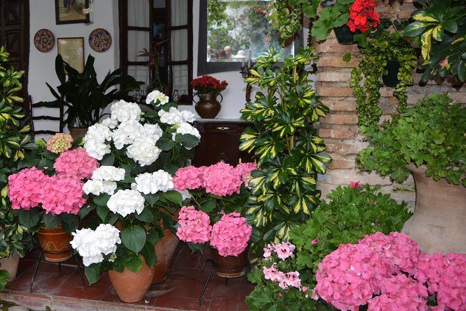 Patios & Perfums of Cordoba Festival Tour - A Detailed Look at the Patios & Perfumes of Cordoba Festival Tour