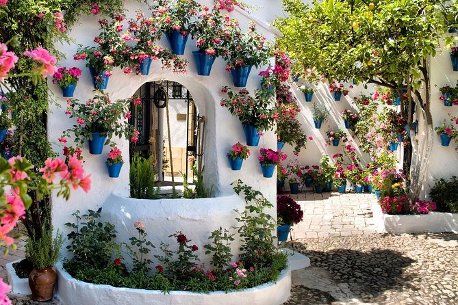 Patios tour in Cordoba - Final Thoughts: Is the Patios Tour in Córdoba Worth It?