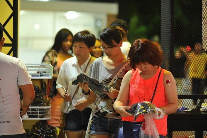 Patong Boxing Stadium - Final Thoughts: Is It Worth It?