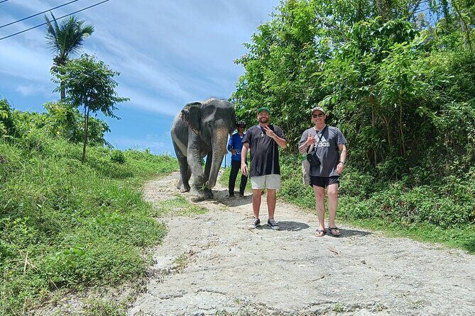 Patong Highlight Elephant Sanctuary with Guide Tour - Patong Highlight Elephant Sanctuary with Guide Tour: A Genuine Connection with Thailand’s Gentle Giants