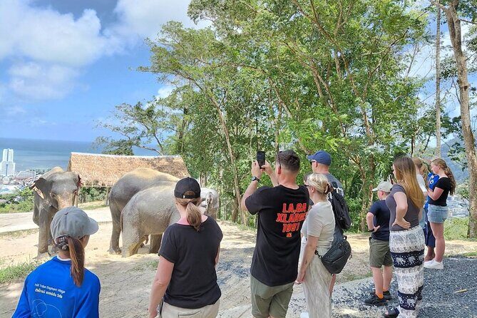 Patong Highlight Elephant Sanctuary with Guide Tour - In-Depth Review of the Tour Experience