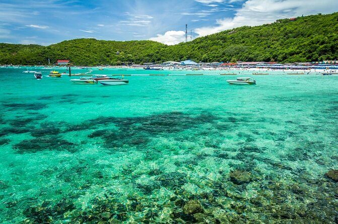 Pattaya Coral Island Full Day Tour from Bangkok - Key Points