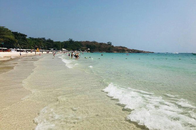 Pattaya : Coral Island Tour by Speedboat with Indian Lunch & Pick Up from Hotel - Key Points