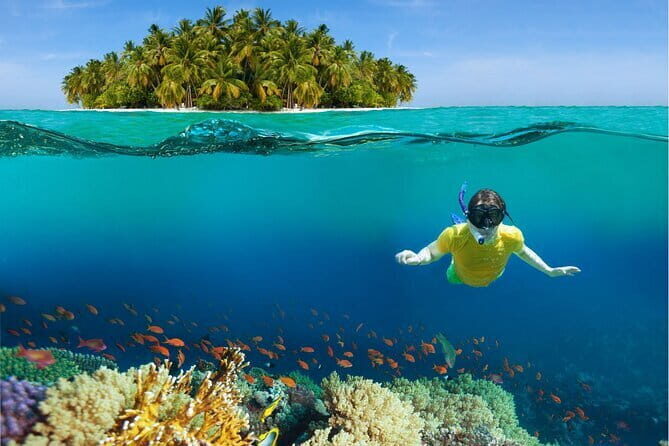 Pattaya: Coral Island Tour with Water Sports, Lunch & Pickup Drop - In-Depth Look at the Coral Island Tour