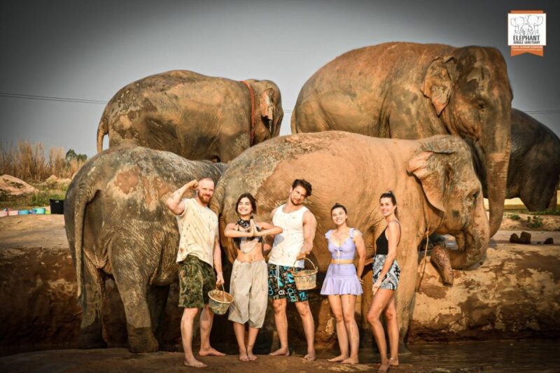 Pattaya: Elephant Jungle Sanctuary Feeding Experience - Who Is This Tour Best For?