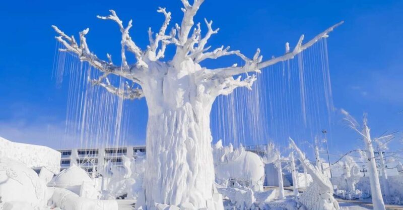 Pattaya: Frost Magical Ice of Siam Entry Ticket - Key Points