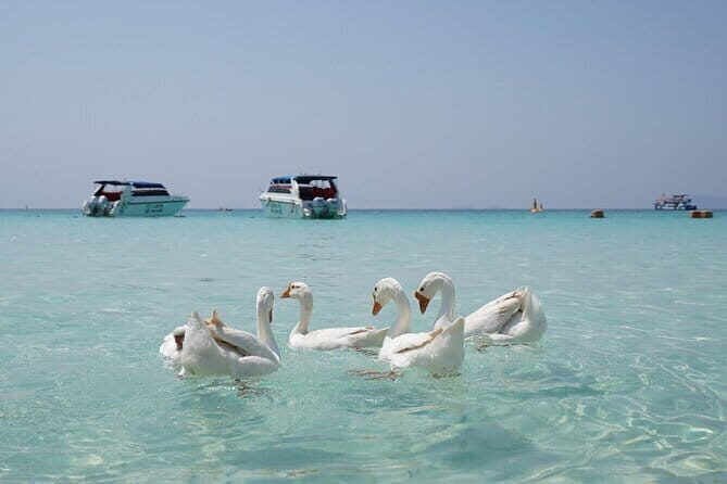 Pattaya Island Trip with Drone Photo by Speed Boat - The Sum Up: Who’s This Tour For?