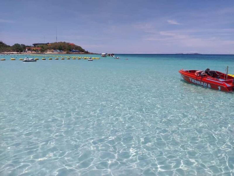 Pattaya Island Trip with Indian Lunch & Flexible Pickup Time - A Deep Dive into the Pattaya Island Trip Experience