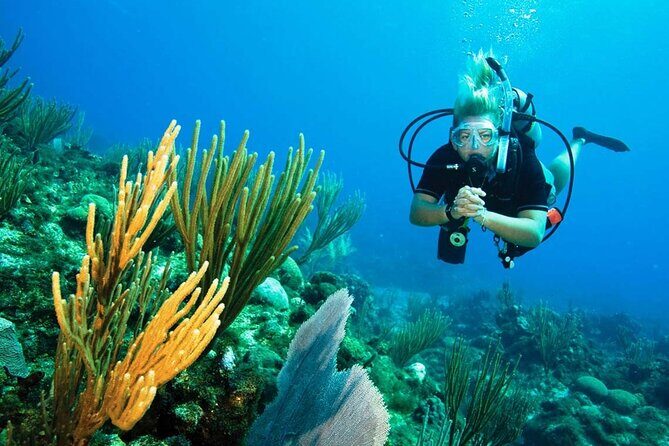 Pattaya PADI Beginner Scuba Diving One Try Dive Depth 6 Meters and Snorkeling ) - FAQs