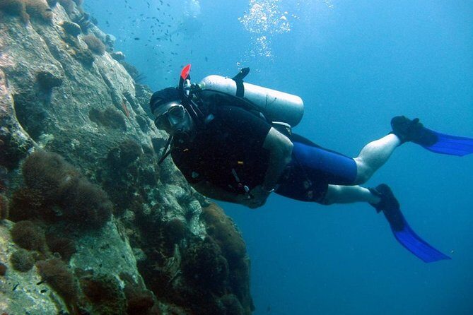 Pattaya PADI Scuba Diving Two Exciting Try Dives with PADI Instructor in Pattaya - Who Should Consider This Tour?
