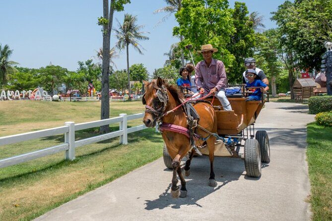 Pattaya sheep Farm Entrance Tickets - What Real Visitors Say
