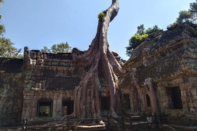 Pattaya to Angkor Wat 2 days 1 night Private tour - Final Thoughts