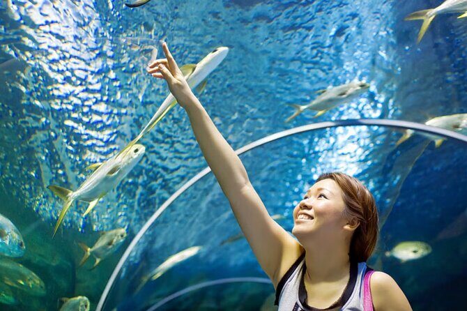 Pattaya Underwater World Admission Ticket - Who Will Love This Tour?
